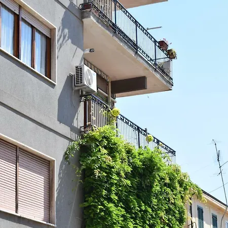 Domus 