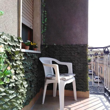 Domus 